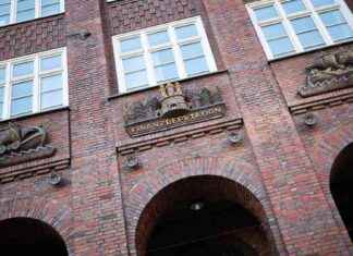 Hamburg verliert Millionen durch Steuerausfälle news-18092024-132247