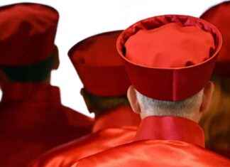 AfD vor dem Bundesverfassungsgericht: Rechtliche Form beachten news-18092024-171911