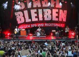Kundgebung in Potsdam gegen AfD: Tausende protestieren mit Sportfreunde Stiller und Madsen news-21092024-213558