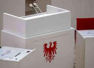 Landtagswahl Brandenburg: AfD und SPD kämpfen um den ersten Platz news-22092024-053834