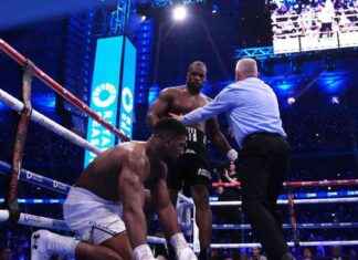 Schwergewichts-WM: Joshua k.o. gegen Dubois – Zusammenfassung und Analyse news-22092024-094025