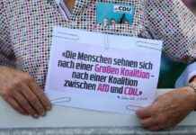 Mögliche Koalitionen in Brandenburg nach Landtagswahl: Wer mit wem? news-22092024-134139