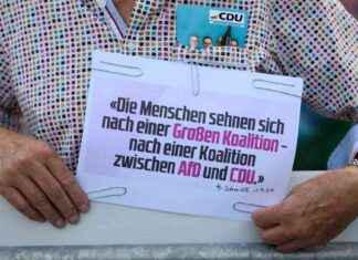 Mögliche Koalitionen in Brandenburg nach Landtagswahl: Wer mit wem? news-22092024-134139