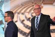 Regierungsbildung in Brandenburg: Herausforderungen und Chancen news-23092024-095542