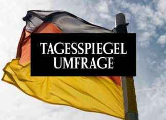 Analyse: Gründe für die Zugewinne der AfD bei Protestwählern news-23092024-095654