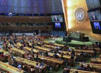 UN-Generaldebatte: Herausforderungen und Lösungen im Fokus news-24092024-082831