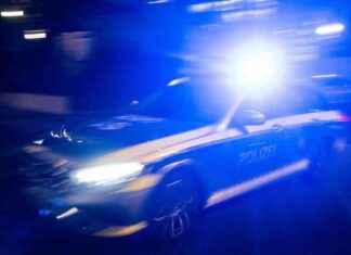 Razzia gegen Schleuserkriminalität: 400 Polizeikräfte im Einsatz im Südwesten news-24092024-082934