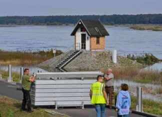 Hochwasserwarnung im Landkreis: Oder erreicht kritische Pegelstände news-24092024-123445