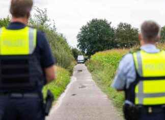 Klärung der Identität eines Toten in einem Maisfeld: Kriminalitätsrätsel gelöst news-25092024-005100