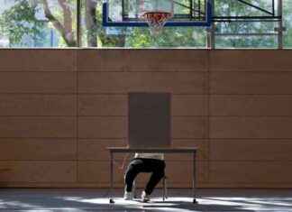 AfD Wahlerfolge: Einfluss auf junge Männer in Deutschland news-26092024-093650