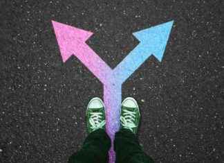 Die Grünen verlieren junge Wähler: Jugendliche politisch polarisiert news-26092024-184249