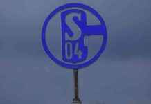Analyse von Peter Neururer zu Schalke 04: Mangelnde fußballerische Kompetenz news-28092024-065221