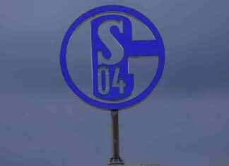 Analyse von Peter Neururer zu Schalke 04: Mangelnde fußballerische Kompetenz news-28092024-065221