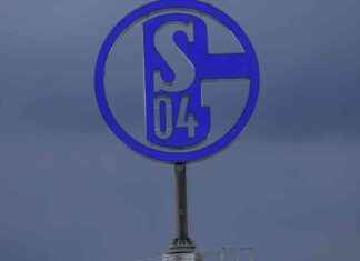 Neururer kritisiert Schalke: Mangelnde fußballerische Kompetenz news-28092024-065257