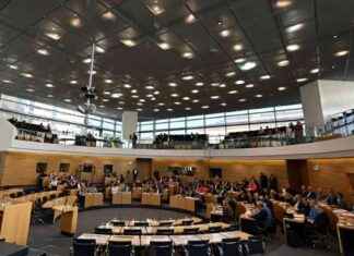 Neue Wahlregeln für Thüringer Landtagspräsidenten news-28092024-120049