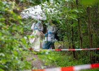 Morduntersuchungen nach dem Tod einer 55-Jährigen: Neue Entwicklungen in Kriminalfall news-30092024-104042