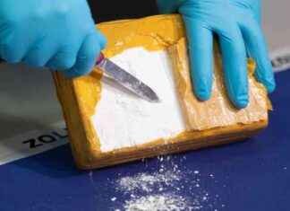 Interpol-Chef warnt vor globalen kriminellen Organisationen news-05102024-155031