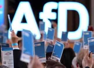 Warum ein Verbot der AfD aktuell nicht angemessen wäre news-06102024-095941