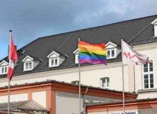 Neubrandenburgs Bürgermeister tritt zurück news-11102024-172732