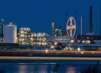 Bayers Erfolge im Kampf gegen Bürokratie – Aktuelle Bewertung news-12102024-113756