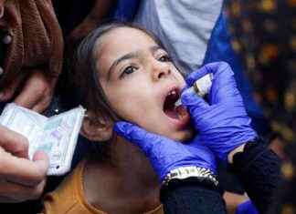 Nahost: Zweite Polio-Impfkampagne im Gazastreifen geplant news-14102024-021825