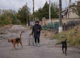 Ukraine-Konflikt: Bevölkerungsrückgang um 8 Millionen seit Kriegsbeginn news-22102024-171134