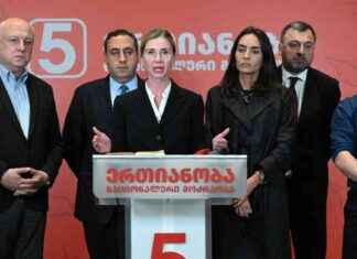 Georgiens Opposition lehnt vorläufige Wahlergebnisse ab und fordert Neuwahlen news-27102024-063146