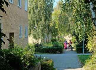 Migration in Dänemark: Warum Gangs schwedische Jugendliche anheuern news-30102024-005909