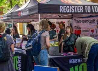 Die Wünsche der GenZ-Wähler bei der US-Wahl 2024 news-30102024-070044