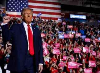 US-Wahl 2024 Liveticker: Trumps Befreiung am 5. November | FAZ news-05112024-040949