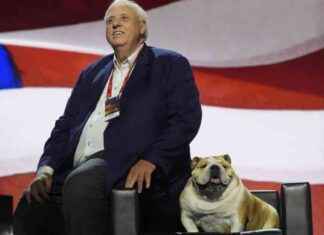 US-Wahl 2024 Liveticker: Jim Justice gewinnt Senatssitz in West Virginia | FAZ news-06112024-041241