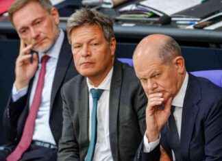 Analyse der Ampel-Koalition: Wirtschaftsbilanz und Fakten news-09112024-162848