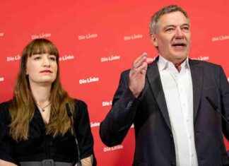 Spitzenduo der Linken: Van Aken und Reichinnek für die Bundestagswahl news-10112024-144641