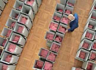 Scheitern Neuwahlen an unzureichendem Wahlzettel-Papier? news-12112024-025531