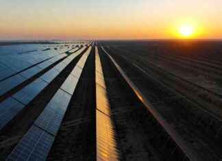 Eine bessere Welt: Wie wir positive Veränderungen bewirken können news-12112024-085704