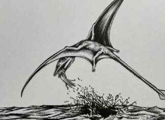 Flugsaurier: Spezialist für Fischjagd an Gewässern news-12112024-145843