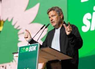 Robert Habeck’s Rede beim Grünen Bundesparteitag: Warten und Kürze news-16112024-062909