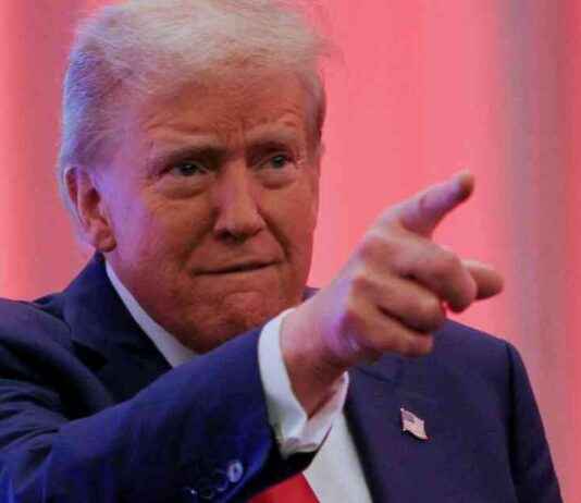 news-16112024-183124