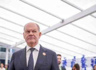 SPD-Kanzlerkandidat: Olaf Scholz vs. Boris Pistorius – Wer wird es? news-19112024-004422