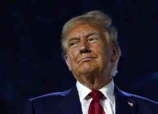 Trump: Staatsanwaltschaft beantragt Verfahrenseinstellung – SEO-freundlich und leicht verständlich news-25112024-223909