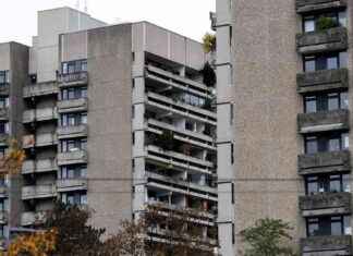 Mietpreisbremse: Deutscher Mieterbund warnt vor Auslaufen news-28112024-105746