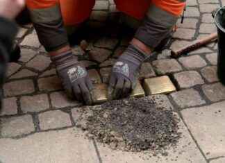 Ersetzung von gestohlenen Stolpersteinen in Sachsen-Anhalt news-28112024-170007