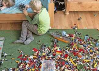 Warum steigt der Kindesunterhalt in der neuen Düsseldorfer Tabelle langsam an? news-29112024-172352