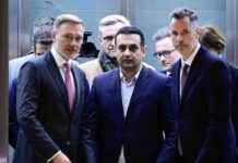 Kritik an FDP nach D-Day-Papier: SPD und Grüne reagieren entsetzt news-30112024-173027