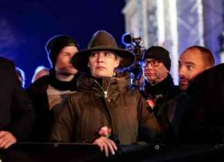 Die AfD und der Täter von Magdeburg: Analyse und Reaktionen die-afd-und-der-tter-von-magdeburg-analyse-und-reaktionen