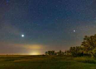 Die Wahrheit über den Weihnachtsstern: Fakten und Hintergründe die-wahrheit-ber-den-weihnachtsstern-fakten-und-hintergrnde