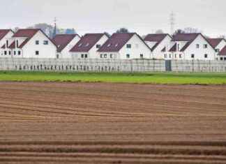 Haus kaufen oder mieten: Expertenmeinungen und Tipps haus-kaufen-oder-mieten-expertenmeinungen-und-tipps