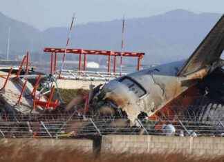 Ursachenanalyse des Flugzeugunglücks in Südkorea: Betonmauer als Hauptfokus ursachenanalyse-des-flugzeugunglcks-in-sdkorea-betonmauer-als-hauptfokus