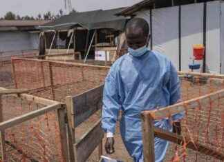 WHO entdeckt Anzeichen von Malaria bei Krankheit X who-entdeckt-anzeichen-von-malaria-bei-krankheit-x