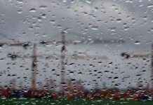 Wirtschaftsverbände pessimistisch für 2025 – IW-Umfrage wirtschaftsverbnde-pessimistisch-fr-2025-w-umfrage